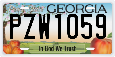 GA license plate PZW1059