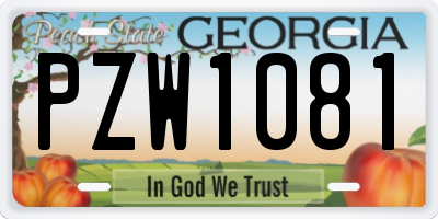 GA license plate PZW1081