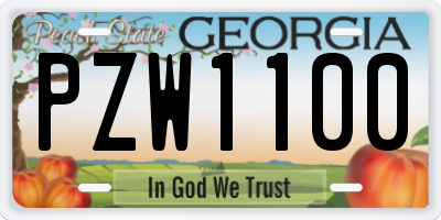 GA license plate PZW1100