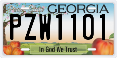 GA license plate PZW1101