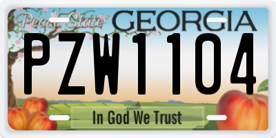 GA license plate PZW1104