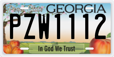 GA license plate PZW1112
