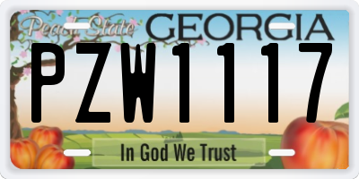 GA license plate PZW1117