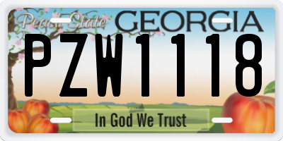GA license plate PZW1118