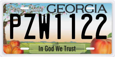 GA license plate PZW1122
