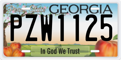 GA license plate PZW1125