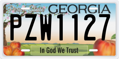 GA license plate PZW1127