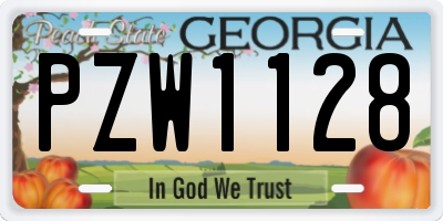 GA license plate PZW1128