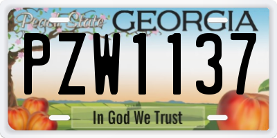 GA license plate PZW1137