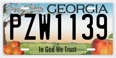 GA license plate PZW1139