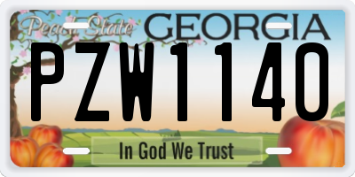 GA license plate PZW1140