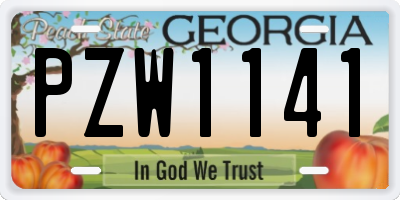 GA license plate PZW1141