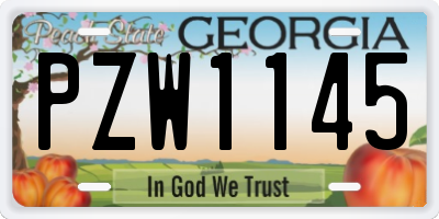GA license plate PZW1145