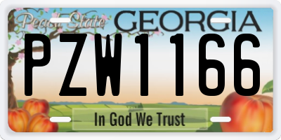GA license plate PZW1166