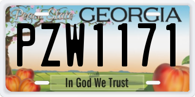 GA license plate PZW1171
