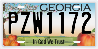 GA license plate PZW1172
