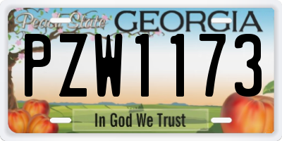 GA license plate PZW1173