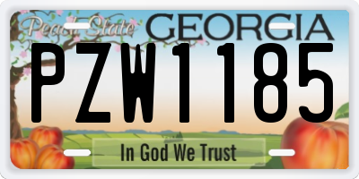GA license plate PZW1185