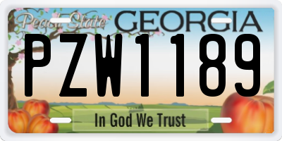 GA license plate PZW1189
