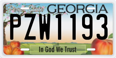 GA license plate PZW1193