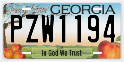GA license plate PZW1194