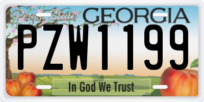 GA license plate PZW1199