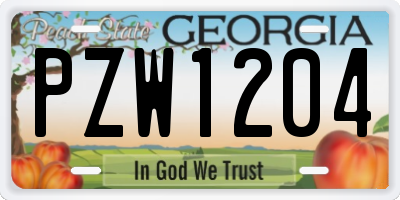 GA license plate PZW1204