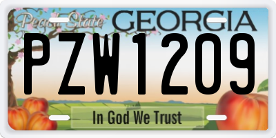 GA license plate PZW1209