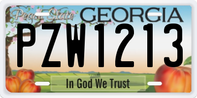 GA license plate PZW1213