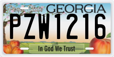 GA license plate PZW1216