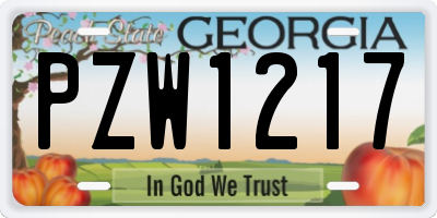 GA license plate PZW1217