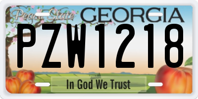 GA license plate PZW1218