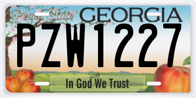GA license plate PZW1227
