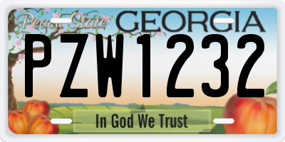 GA license plate PZW1232