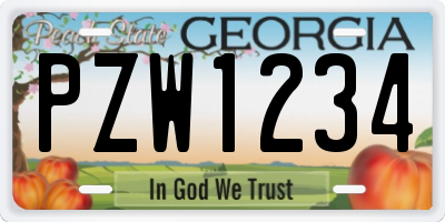 GA license plate PZW1234