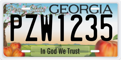 GA license plate PZW1235