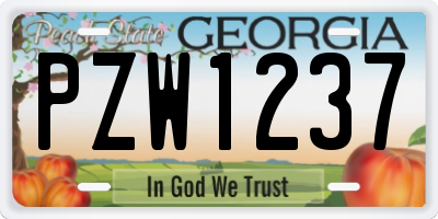 GA license plate PZW1237