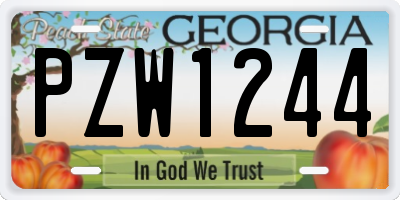 GA license plate PZW1244