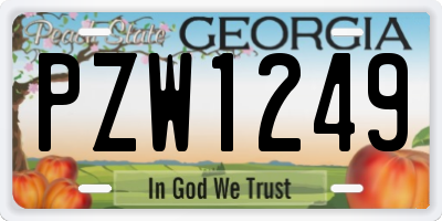 GA license plate PZW1249