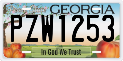 GA license plate PZW1253