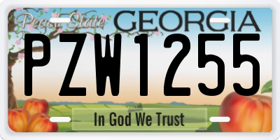 GA license plate PZW1255