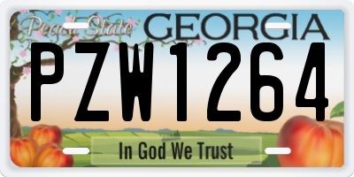 GA license plate PZW1264
