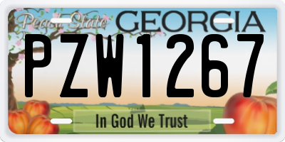 GA license plate PZW1267