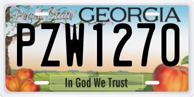 GA license plate PZW1270