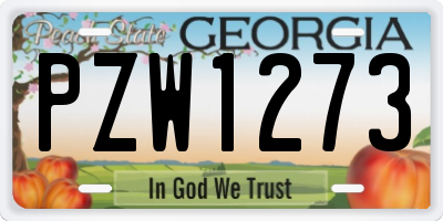 GA license plate PZW1273