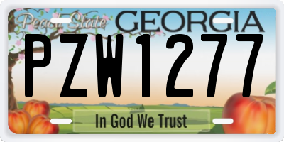 GA license plate PZW1277