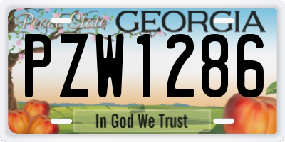 GA license plate PZW1286