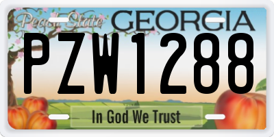 GA license plate PZW1288