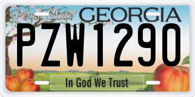 GA license plate PZW1290