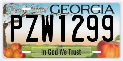 GA license plate PZW1299